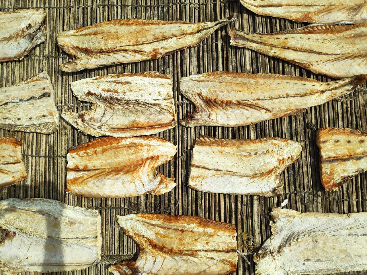 Clarias Séché-Guedj Yass