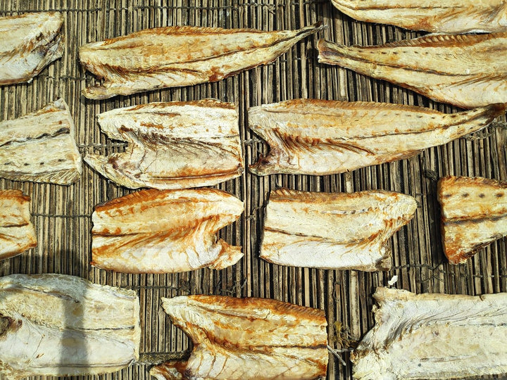 Clarias Séché-Guedj Yass