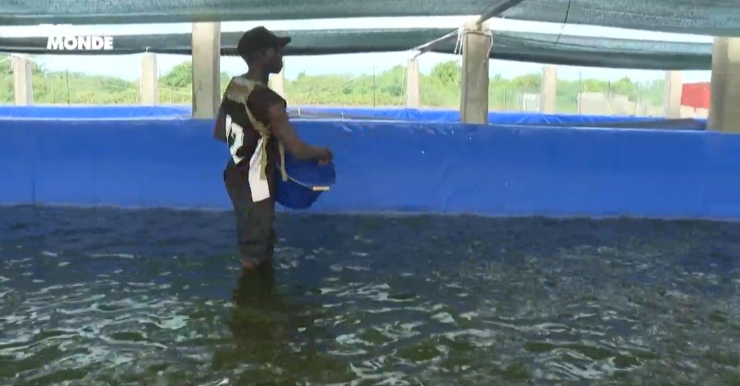 Découvrez la Ferme FPAM